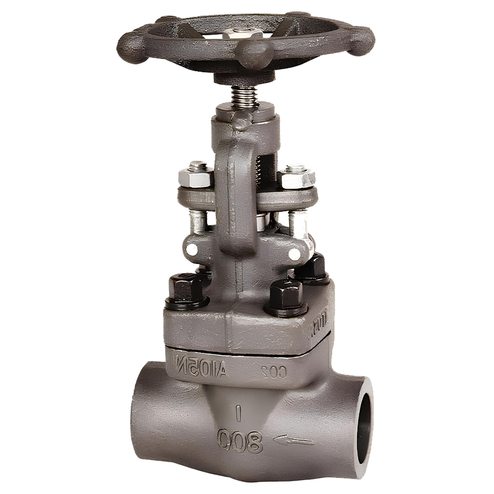 Forged Steel Globe Valve