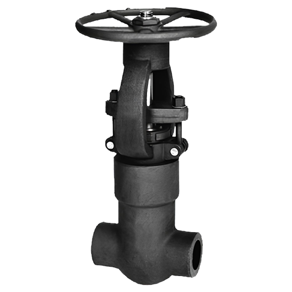 Forged Steel Gate Valve - Image 4