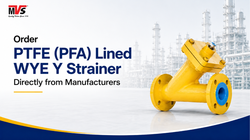 Order PTFE (PFA) Lined WYE Y Strainer Directly from Manufacturers