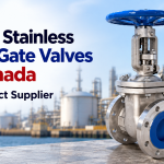 Order Stainless Steel Gate Valves in Canada from Direct Supplier