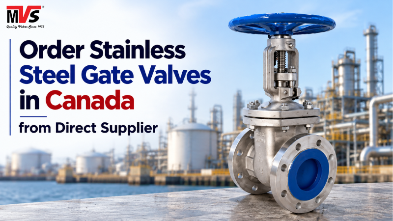 Order Stainless Steel Gate Valves in Canada from Direct Supplier