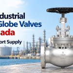 Buy Industrial Steel Globe Valves in Canada – Direct Export Supply