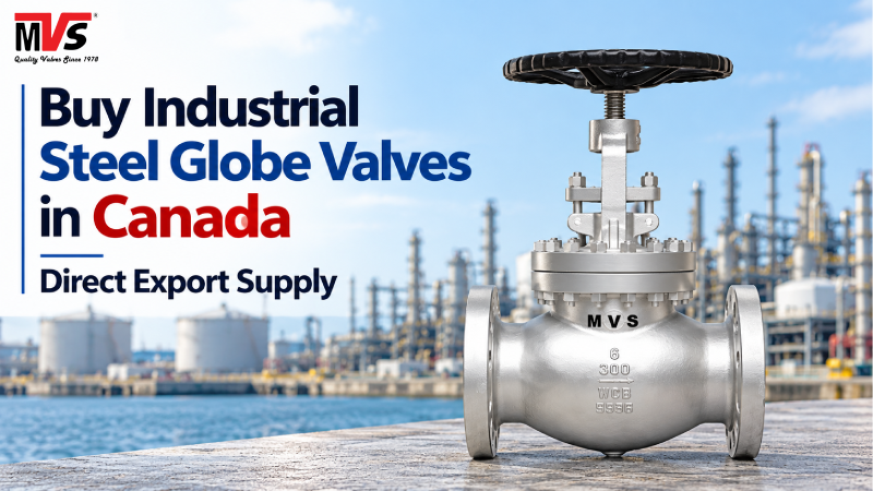 Buy Industrial Steel Globe Valves in Canada – Direct Export Supply