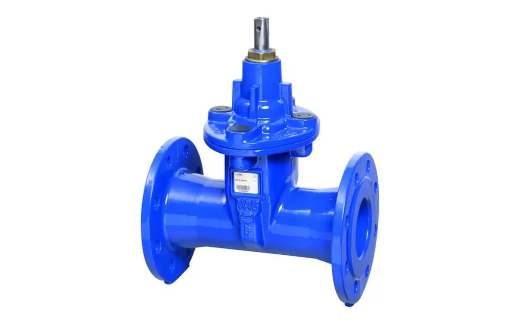 Gate Valve in Water Treatment Industry