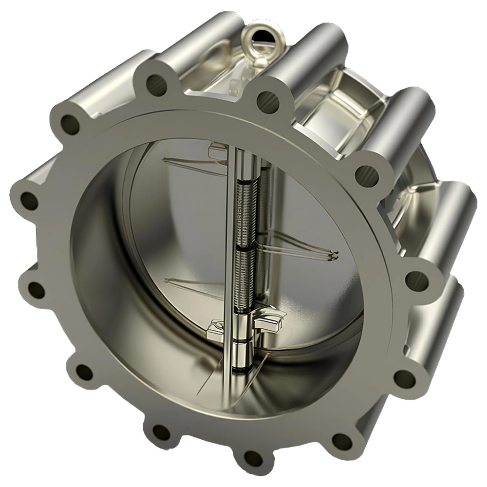 Dual Plate Check Valve