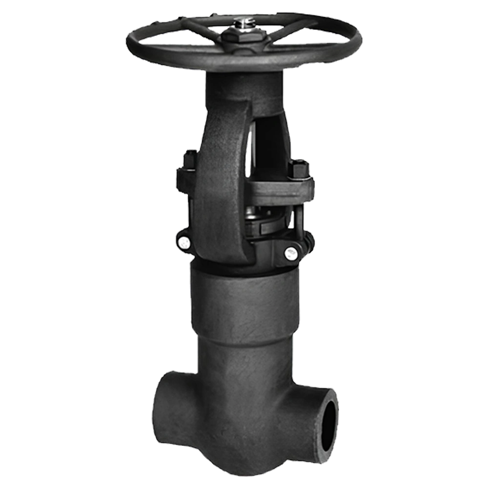 Forged Steel Gate Valve - Image 4