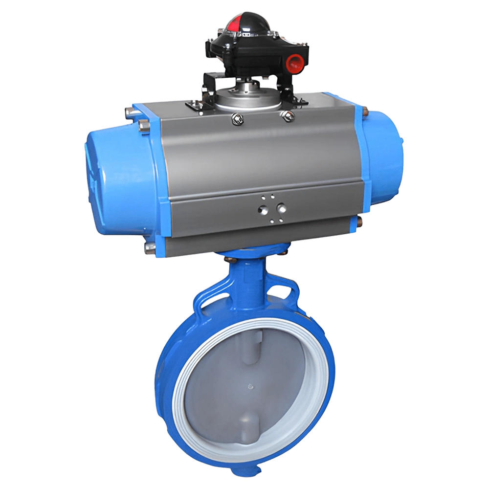 PTFE Seated Butterfly Valve